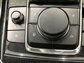 2019 Mazda Mazda Others