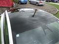 2023 Tesla Motors Others