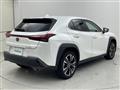 2023 Lexus UX