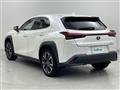 2023 Lexus UX