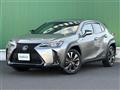 2020 Lexus UX