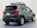 2019 Chrysler Renegade