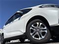 2021 Honda Freed+