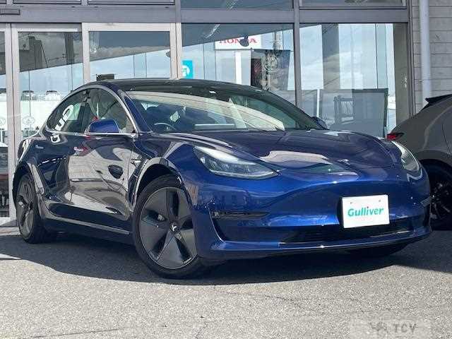 2019 Tesla Motors Others