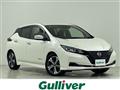 2022 Nissan Leaf