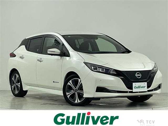 2022 Nissan Leaf