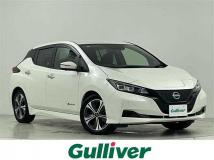 2022 Nissan Leaf
