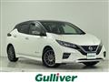 2019 Nissan Leaf
