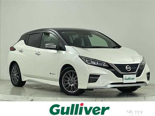 2019 Nissan Leaf