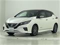 2019 Nissan Leaf