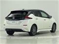 2019 Nissan Leaf