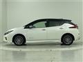 2019 Nissan Leaf