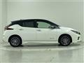 2019 Nissan Leaf