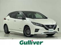 2019 Nissan Leaf