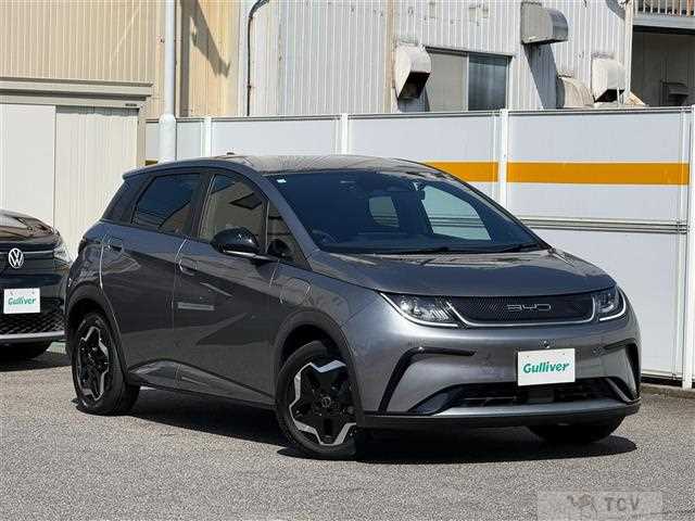 2023 Byd Automobile Others