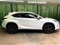 2019 Lexus NX