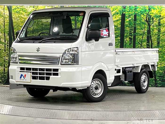 2025 Suzuki Carry Truck