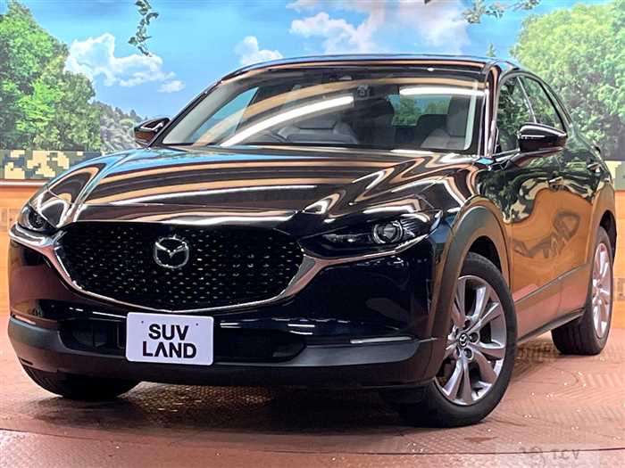2020 Mazda Mazda Others