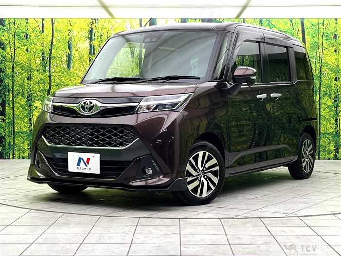2019 Toyota Tank