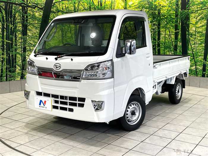 2020 Daihatsu Hijet Truck