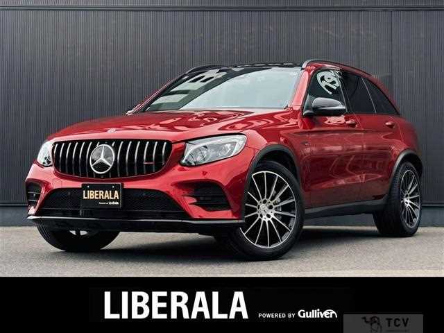 2019 AMG AMG Others