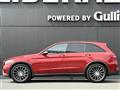 2019 AMG AMG Others