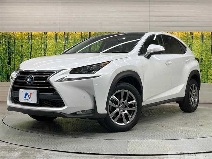 2016 Lexus NX