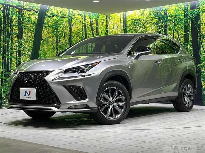 2019 Lexus NX