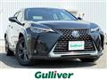 2020 Lexus UX