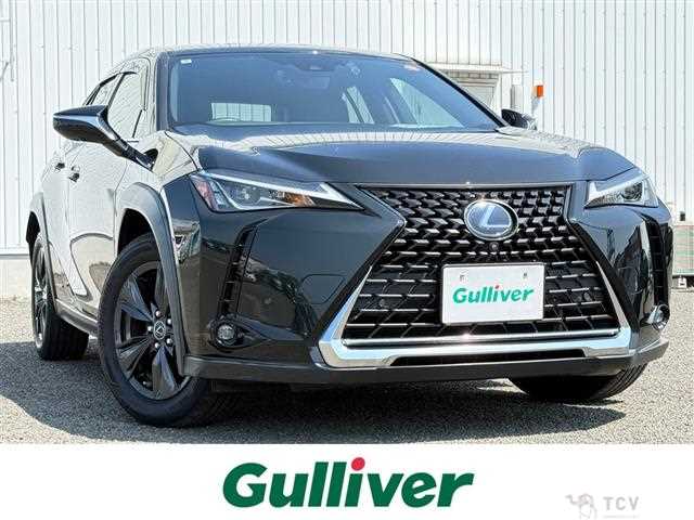 2020 Lexus UX