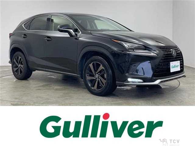 2018 Lexus NX