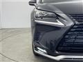 2018 Lexus NX