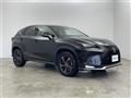 2018 Lexus NX