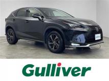 2018 Lexus NX