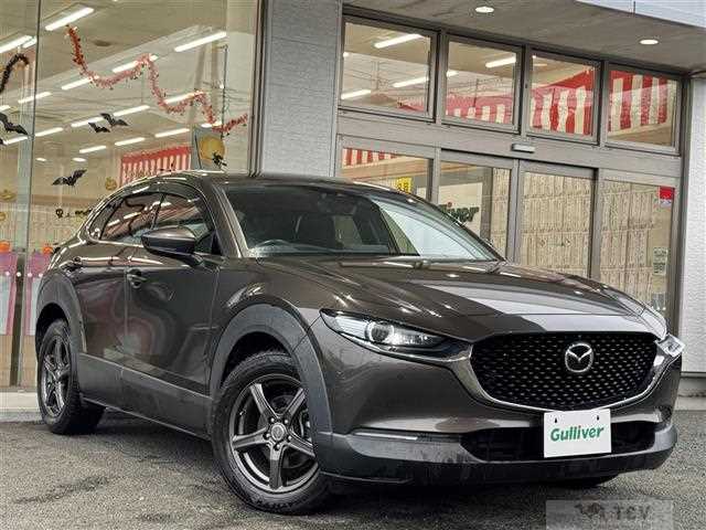 2019 Mazda CX-3