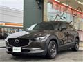 2019 Mazda CX-3