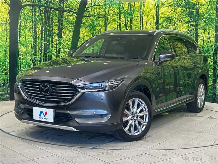 2018 Mazda CX-8