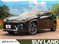 2019 Lexus Other