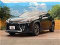 2019 Lexus Other