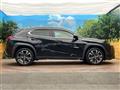 2019 Lexus Other