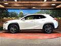 2019 Lexus Other