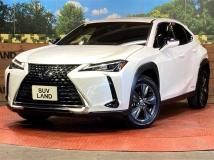 2019 Lexus Other