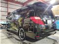 2009 Toyota Alphard G