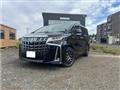 2021 Toyota Alphard G