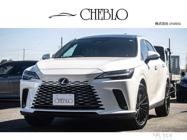 2024 Lexus RX