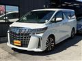 2020 Toyota Alphard G