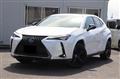 2021 Lexus Other