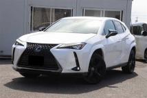 2021 Lexus Other