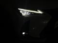 2019 Lexus UX