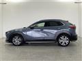 2020 Mazda CX-3
